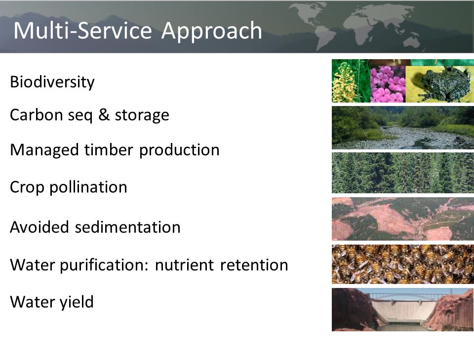 InVEST Beta can map Biodiversity Crop pollination Carbon seq & storage Managed timber production Avoided sedimentation Water yield Water purification: nutrient retention Multi-Service Approach