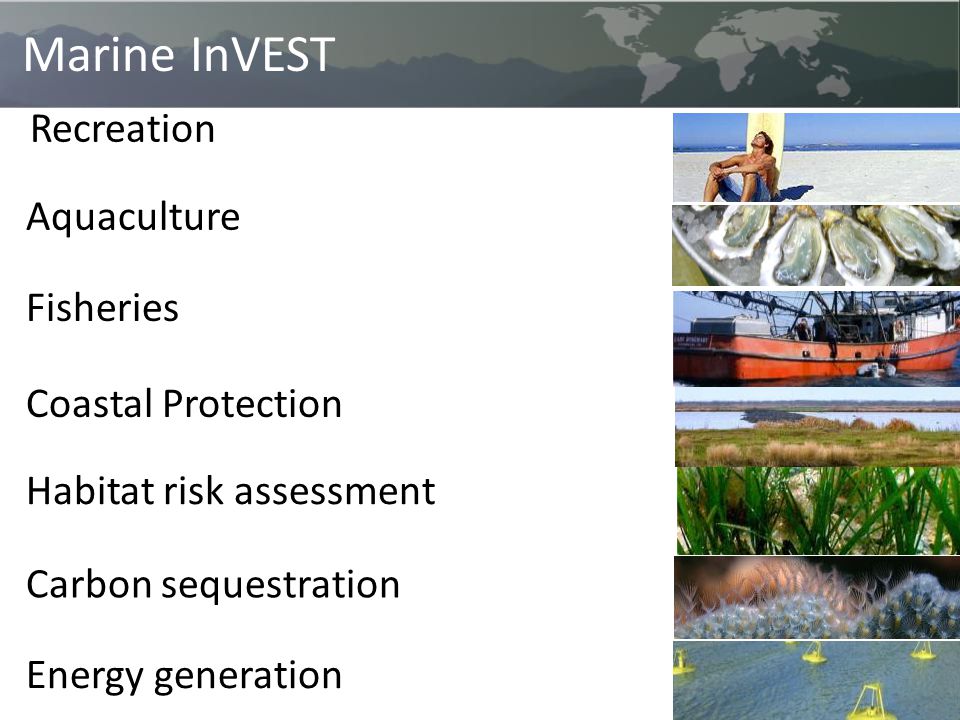 Marine InVEST Habitat risk assessment Fisheries Aquaculture Coastal Protection Carbon sequestration Recreation Energy generation