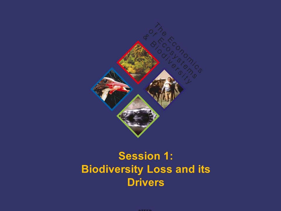 TEEB Training Session 1: Biodiversity Loss and its Drivers ©TEEB