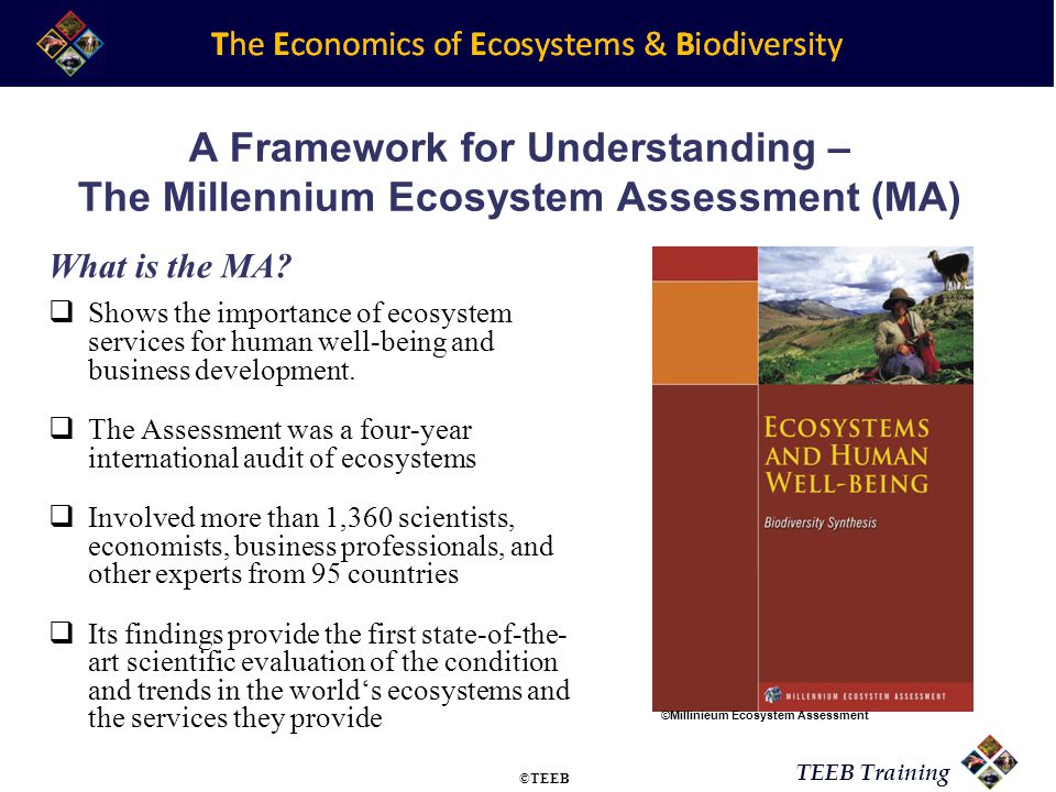 TEEB Training A Framework for Understanding – The Millennium Ecosystem Assessment (MA)  Shows the importance of ecosystem services for human well-being and business development.