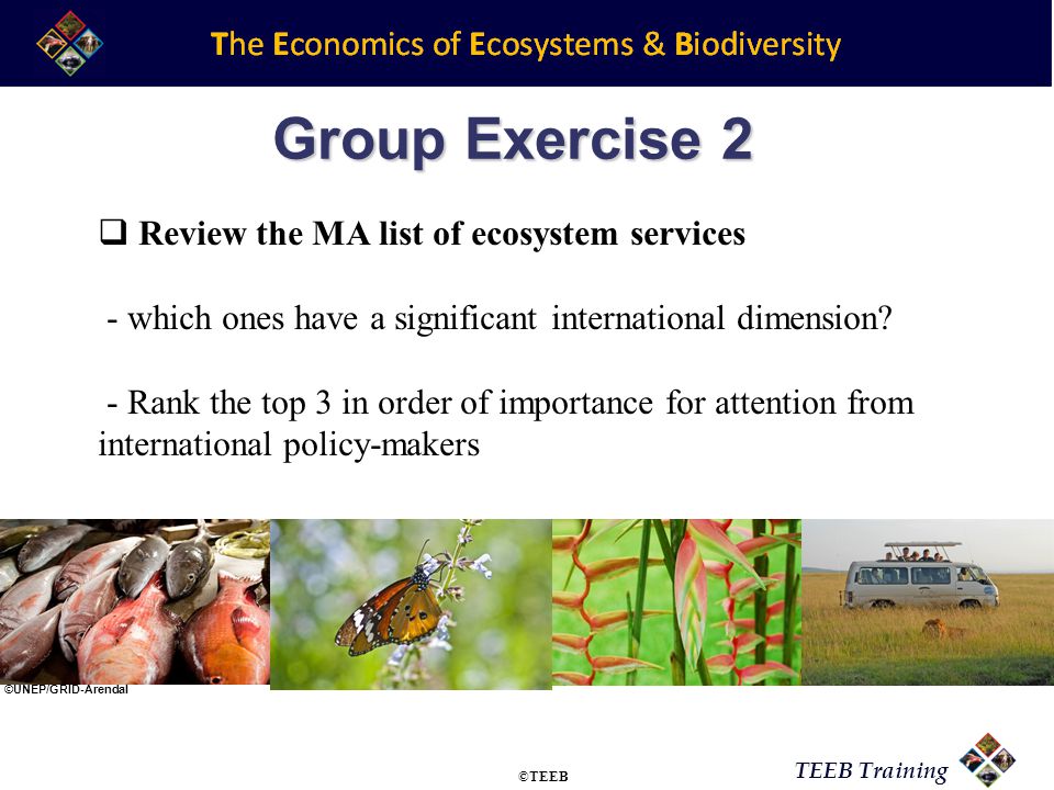 TEEB Training  Review the MA list of ecosystem services - which ones have a significant international dimension.