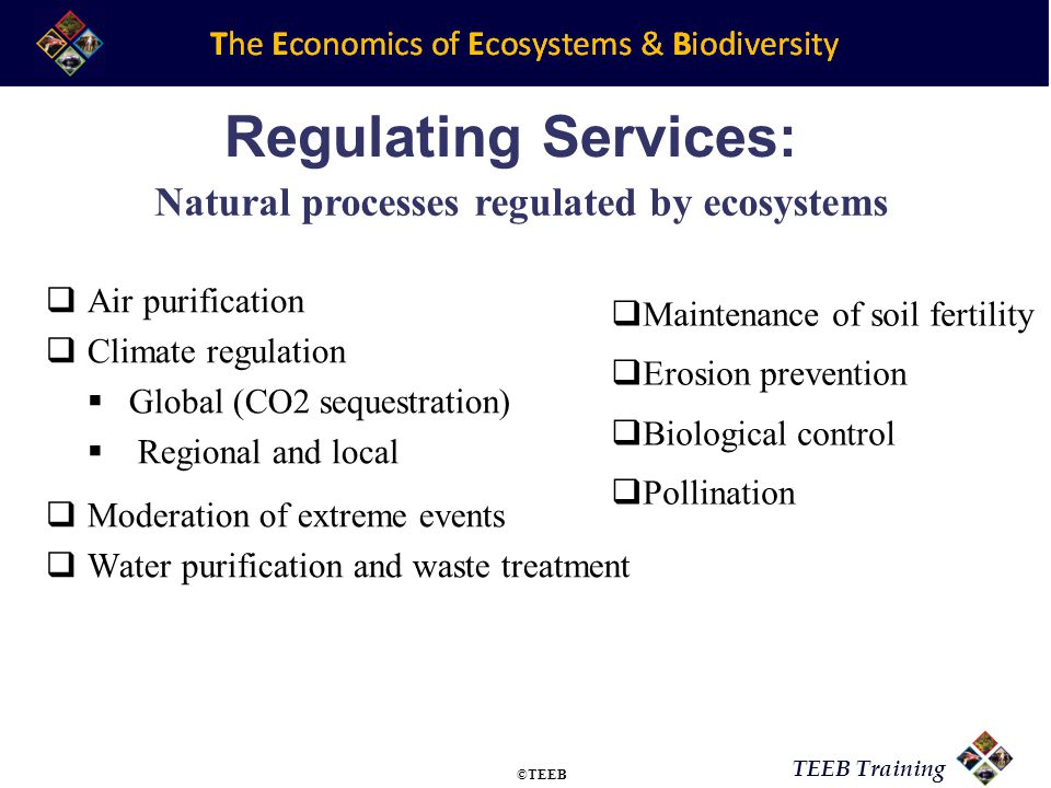 TEEB Training Regulating Services:  Air purification  Climate regulation  Global (CO2 sequestration)  Regional and local  Moderation of extreme events  Water purification and waste treatment Natural processes regulated by ecosystems  Maintenance of soil fertility  Erosion prevention  Biological control  Pollination ©TEEB