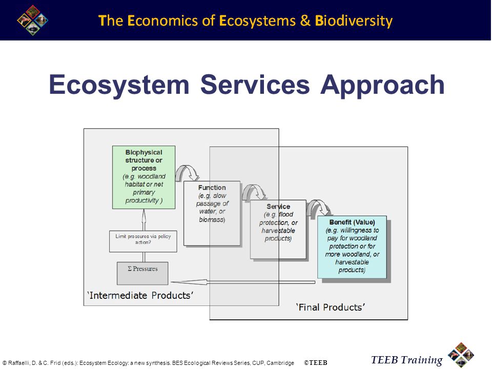 TEEB Training Ecosystem Services Approach © Raffaelli, D.