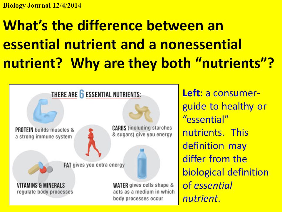 Biology Journal 12 4 14 What S The Difference Between An Essential Nutrient And A Nonessential Nutrient Why Are They Both Nutrients Left A Consumer Ppt Download