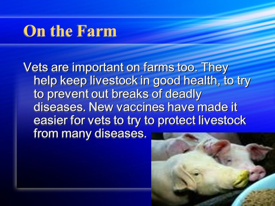 Basic Info The proper vaccination for dogs, cats, and ferrets helps against rabies contribute.