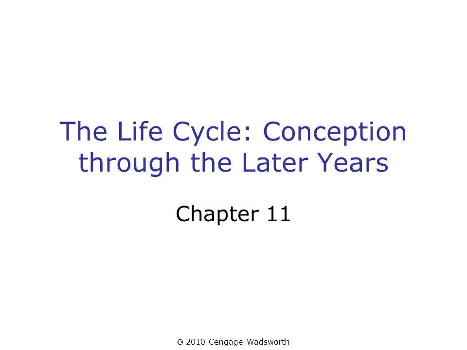  2010 Cengage-Wadsworth The Life Cycle: Conception through the Later Years Chapter 11