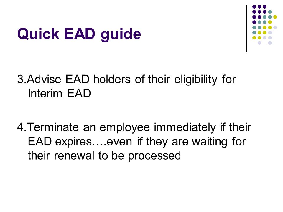 Quick EAD guide 3.Advise EAD holders of their eligibility for Interim EAD 4.Terminate an employee immediately if their EAD expires….even if they are waiting for their renewal to be processed