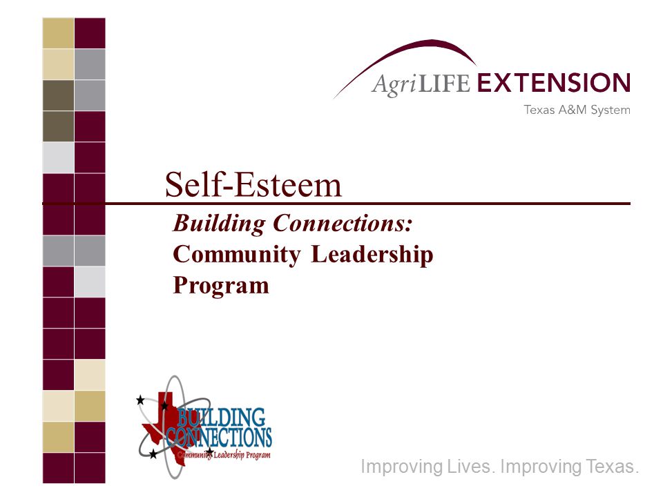 Self-Esteem Improving Lives. Improving Texas. Building Connections: Community Leadership Program