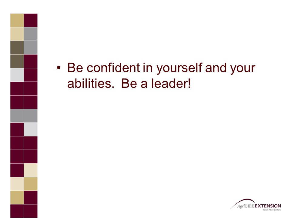 Be confident in yourself and your abilities. Be a leader!