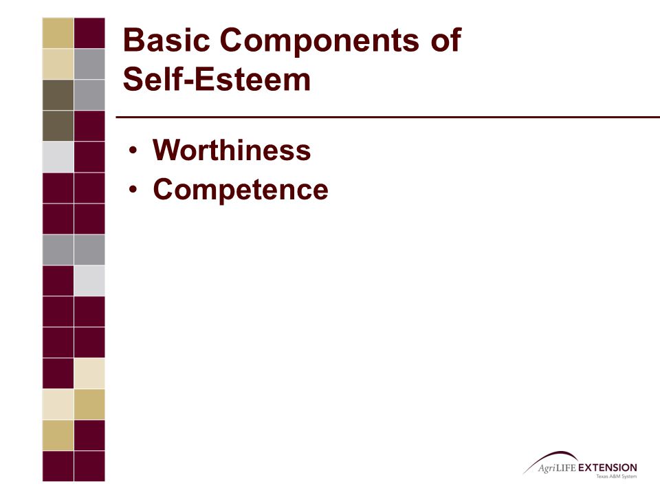 Basic Components of Self-Esteem Worthiness Competence
