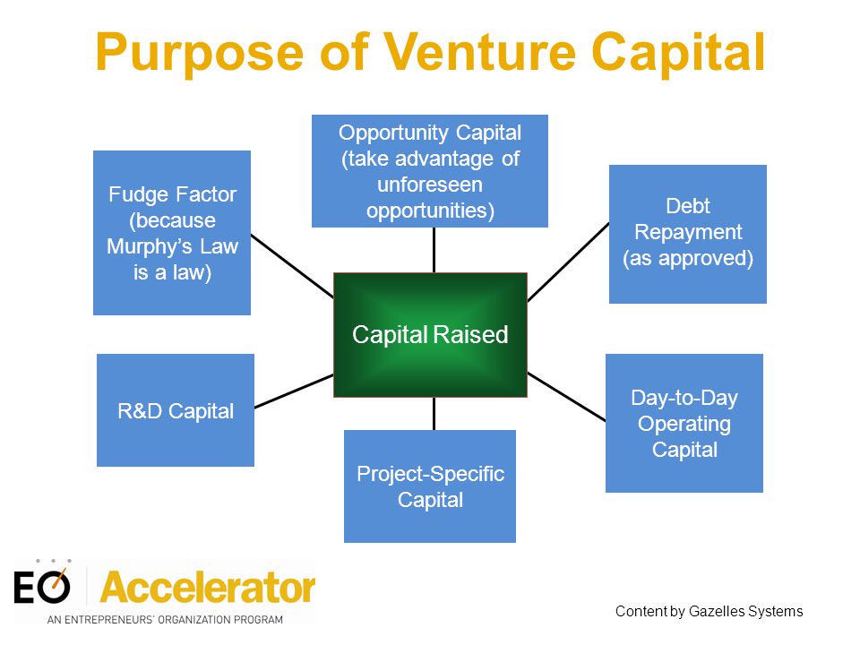 Purpose of Venture Capital Capital Raised Opportunity Capital (take advantage of unforeseen opportunities) Fudge Factor (because Murphy’s Law is a law) R&D Capital Debt Repayment (as approved) Day-to-Day Operating Capital Project-Specific Capital Content by Gazelles Systems