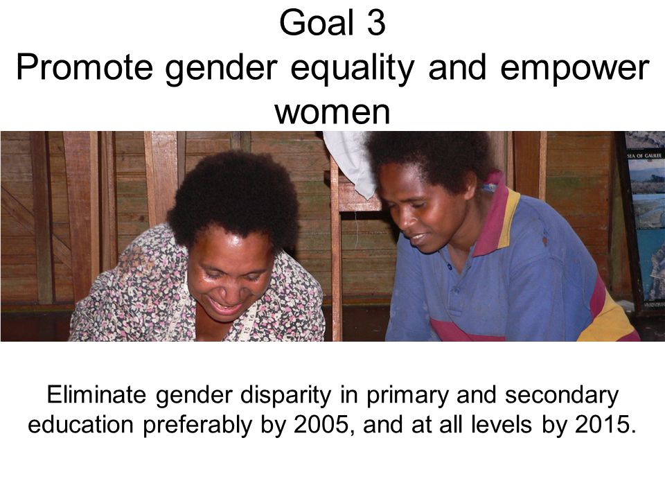 Goal 3 Promote gender equality and empower women Eliminate gender disparity in primary and secondary education preferably by 2005, and at all levels by 2015.