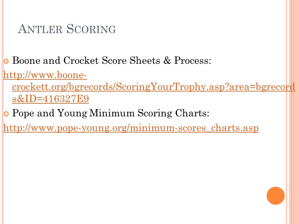 Pope And Young Scoring Chart