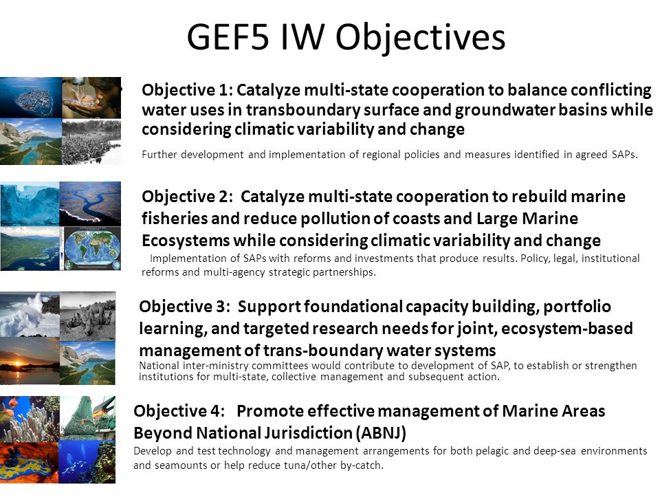 GEF5 IW Objectives Objective 1: Catalyze multi-state cooperation to balance conflicting water uses in transboundary surface and groundwater basins while considering climatic variability and change Further development and implementation of regional policies and measures identified in agreed SAPs.