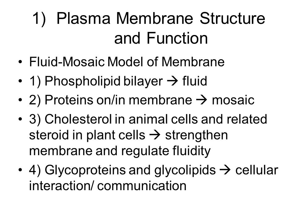 Cell Membrane. Chapter Outline 1) Plasma Membrane Structure and Function 2)  Permeability of the Plasma Membrane 3) Diffusion and Osmosis 4) Transport.  - ppt download