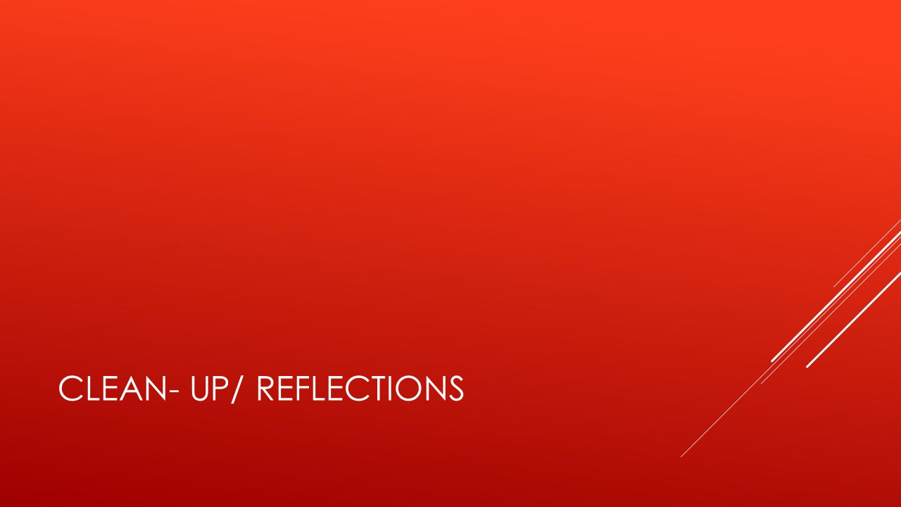 CLEAN- UP/ REFLECTIONS