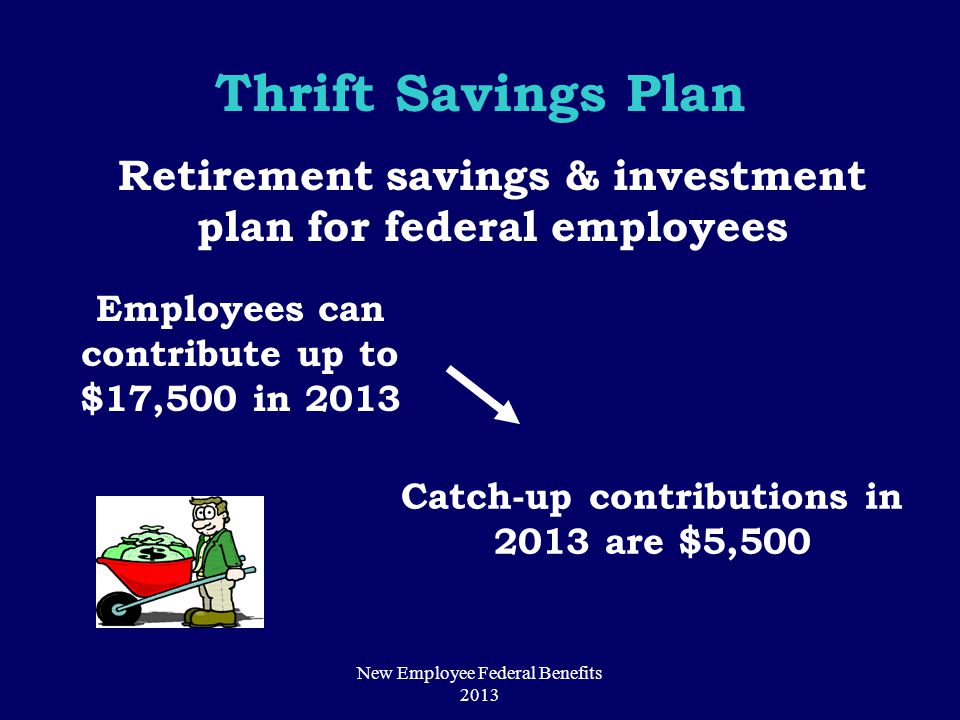 Thrift Savings Plan Retirement savings & investment plan for federal employees Employees can contribute up to $17,500 in 2013 Catch-up contributions in 2013 are $5,500 New Employee Federal Benefits 2013