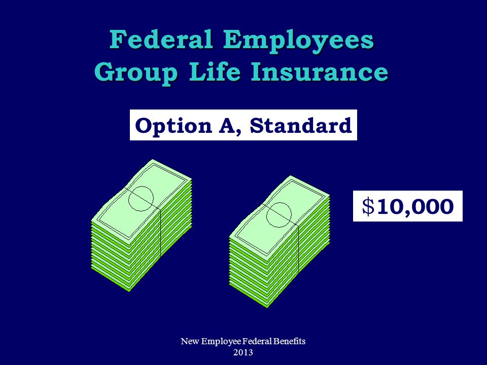 Option A, Standard $ 10,000 Federal Employees Group Life Insurance New Employee Federal Benefits 2013