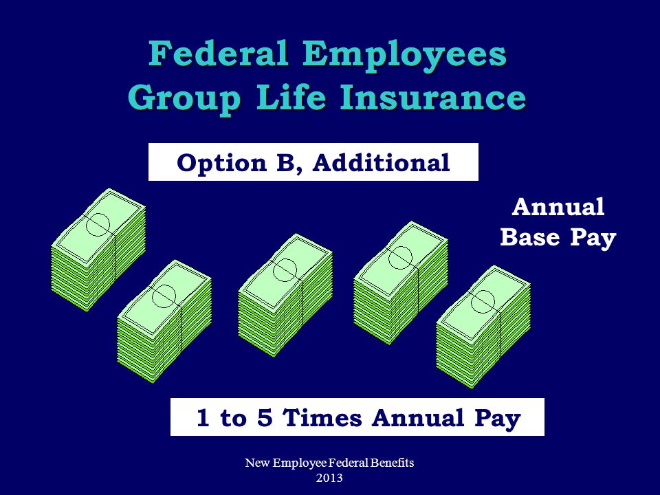 Option B, Additional Annual Base Pay 1 to 5 Times Annual Pay Federal Employees Group Life Insurance New Employee Federal Benefits 2013