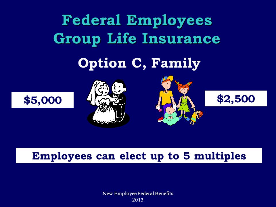 Option C, Family $5,000 $2,500 Employees can elect up to 5 multiples Federal Employees Group Life Insurance New Employee Federal Benefits 2013