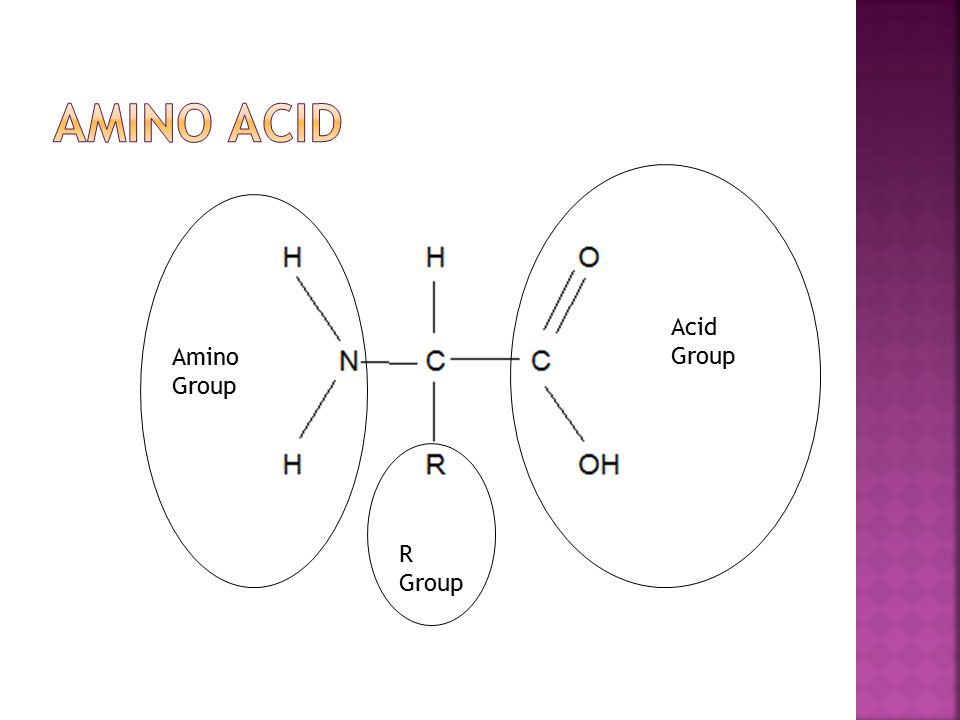 R Group Acid Group Amino Group