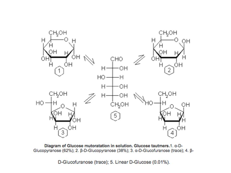 STRUCTURE AND FUNCTION OF CARBOHYDRATES (SUGARS) Azin Nowrouzi (PhD ...