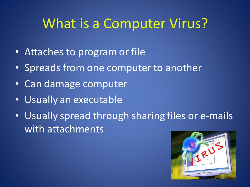 What is a Computer Virus.