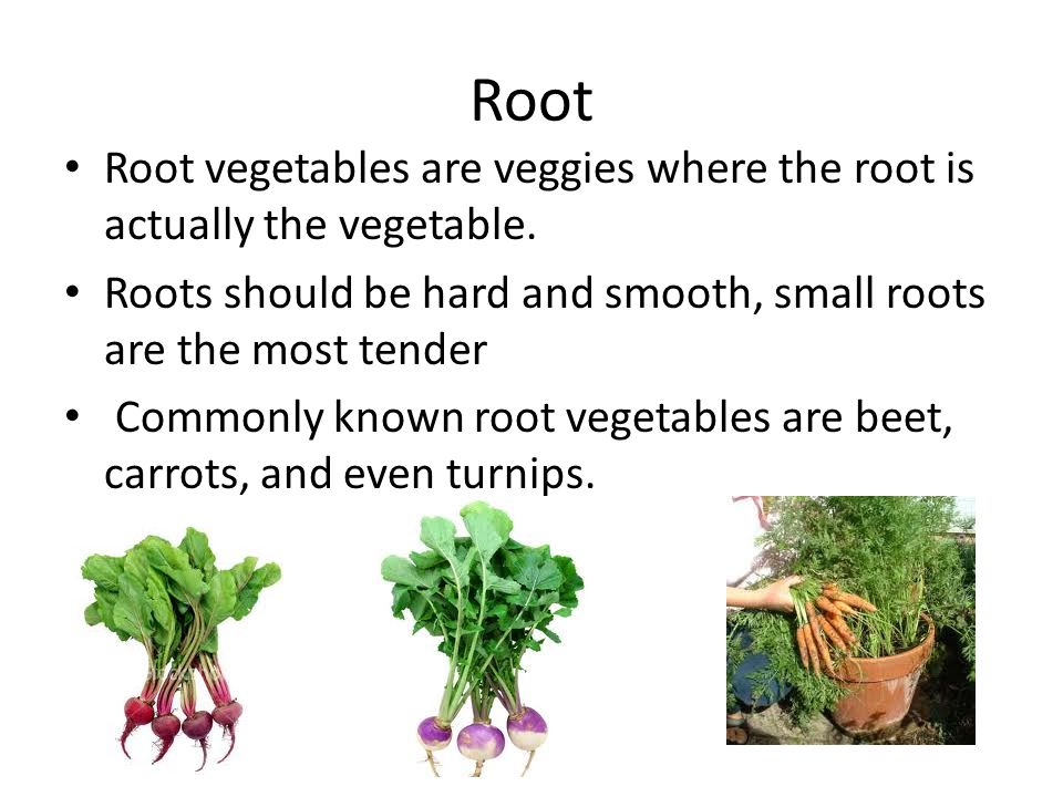 Root Root vegetables are veggies where the root is actually the vegetable.