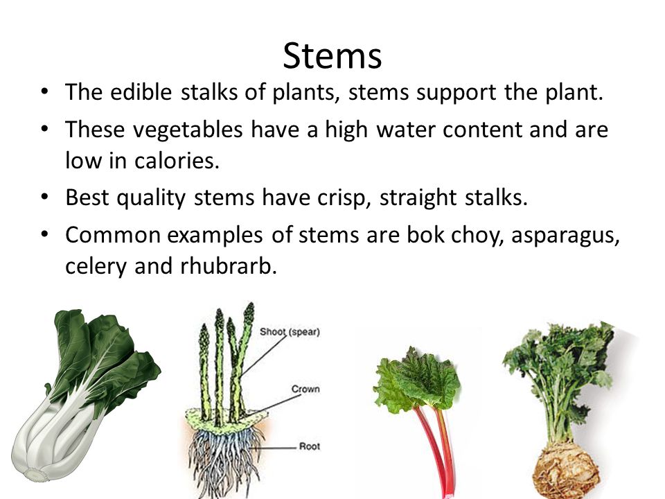 Stems The edible stalks of plants, stems support the plant.