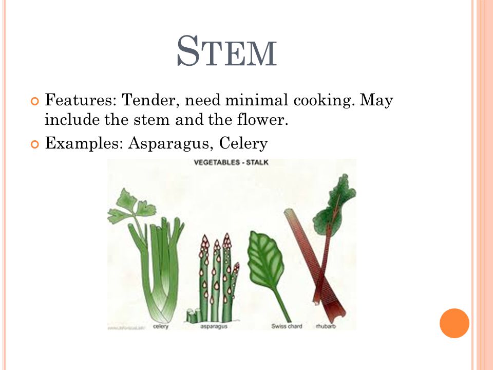 S TEM Features: Tender, need minimal cooking. May include the stem and the flower.
