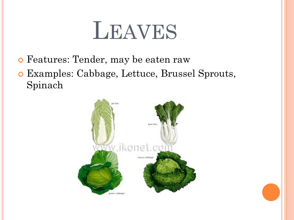 L EAVES Features: Tender, may be eaten raw Examples: Cabbage, Lettuce, Brussel Sprouts, Spinach