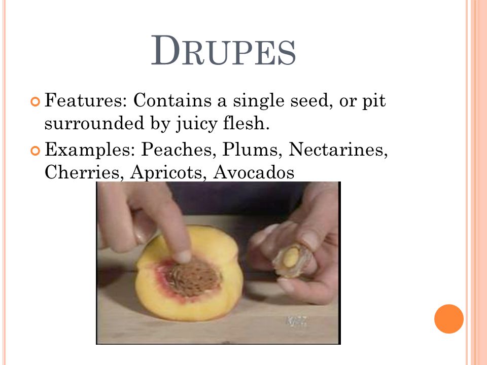D RUPES Features: Contains a single seed, or pit surrounded by juicy flesh.
