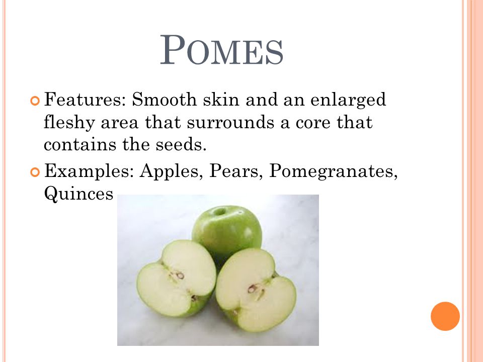 P OMES Features: Smooth skin and an enlarged fleshy area that surrounds a core that contains the seeds.