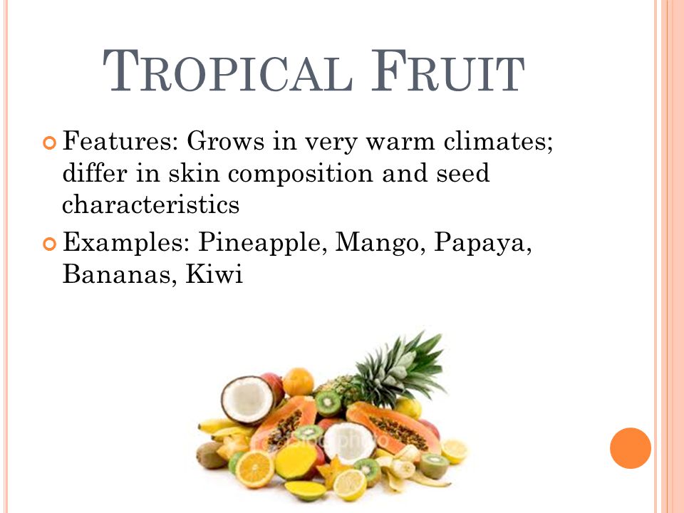 T ROPICAL F RUIT Features: Grows in very warm climates; differ in skin composition and seed characteristics Examples: Pineapple, Mango, Papaya, Bananas, Kiwi