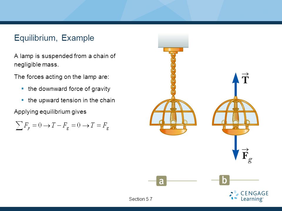 Equilibrium, Example A lamp is suspended from a chain of negligible mass.
