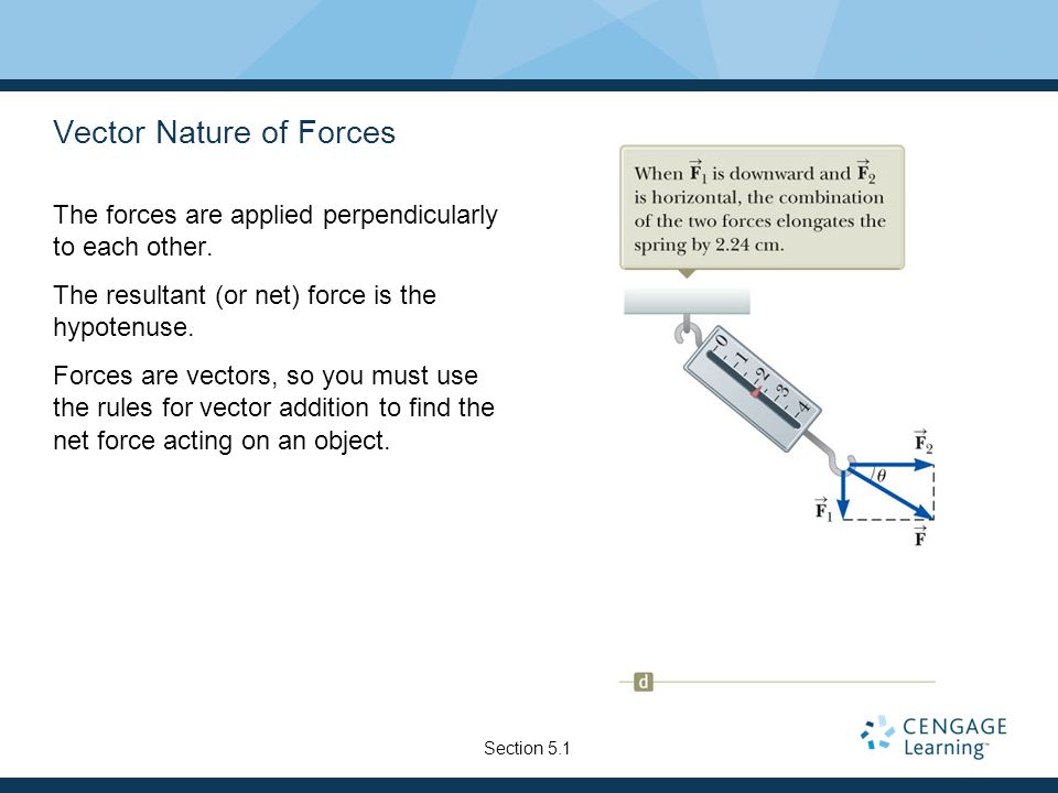 Vector Nature of Forces The forces are applied perpendicularly to each other.