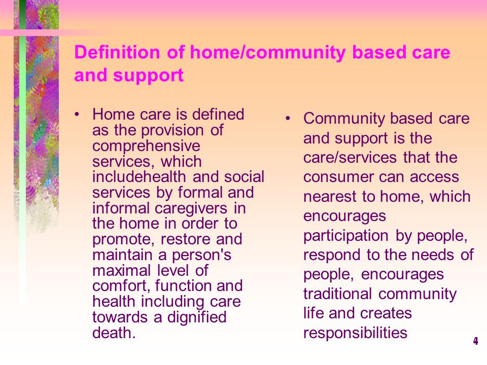 1 Community-home Based Care And Support Services Presentation To The ...