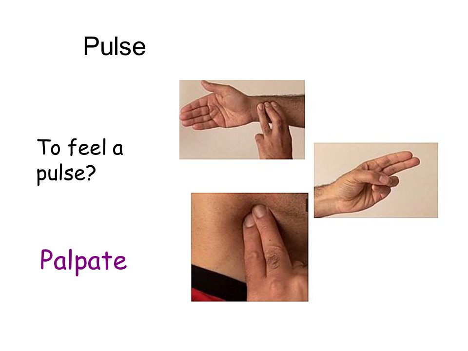 Pulse Pulse is felt where artery comes close to the surface of the skin
