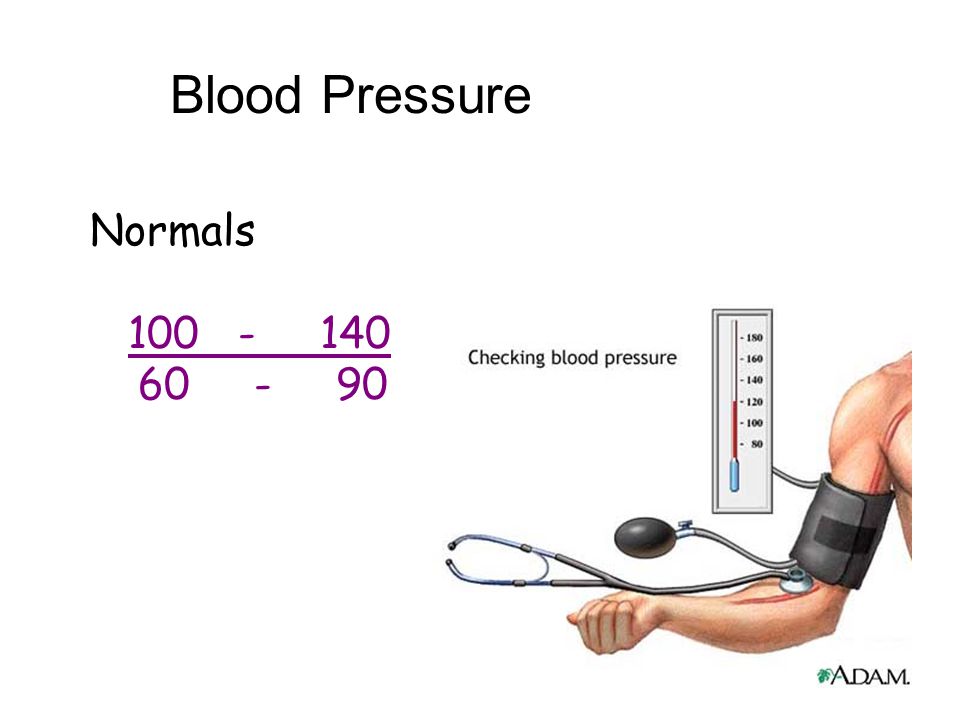 Heart Sounds Use A Stethoscope First Heart Sound Lub Closing Of The Av Valves Longer Louder Ppt Download Heart Sounds Use A Stethoscope First Heart Sound Lub Closing Of The Av Valves Longer Louder Ppt Download