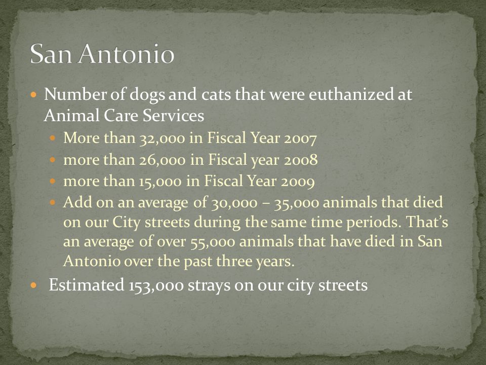 Number of dogs and cats that were euthanized at Animal Care Services More than 32,000 in Fiscal Year 2007 more than 26,000 in Fiscal year 2008 more than 15,000 in Fiscal Year 2009 Add on an average of 30,000 – 35,000 animals that died on our City streets during the same time periods.