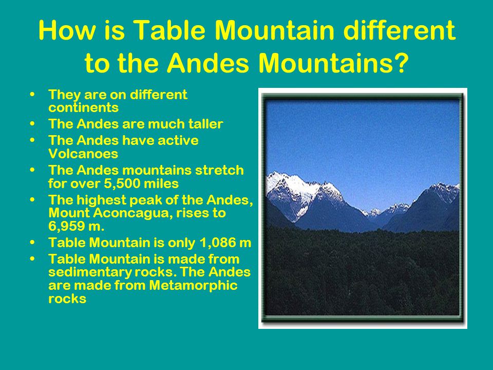 How is Table Mountain different to the Andes Mountains.