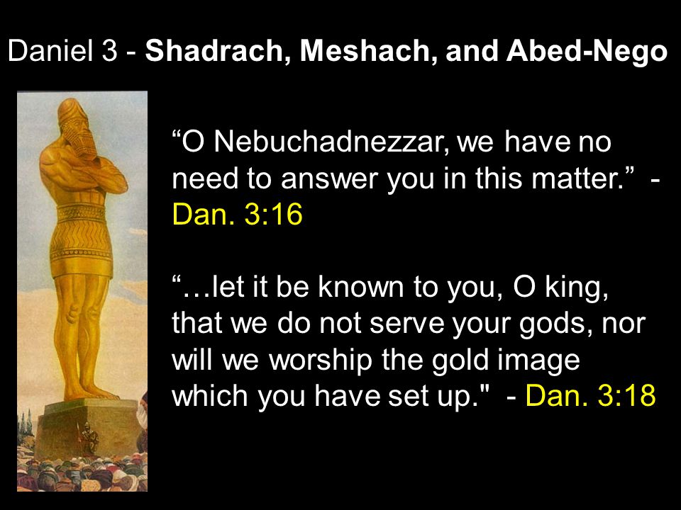Daniel 3 - Shadrach, Meshach, and Abed-Nego O Nebuchadnezzar, we have no need to answer you in this matter. - Dan.
