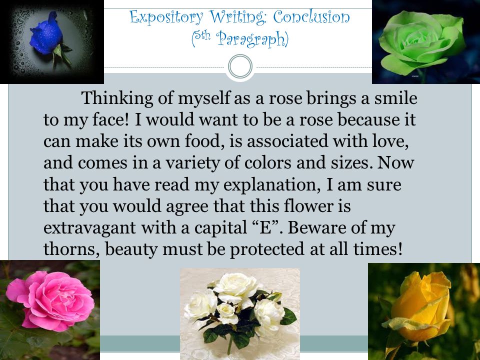 Expository Writing: Conclusion ( 5th Paragraph) Thinking of myself as a rose brings a smile to my face.