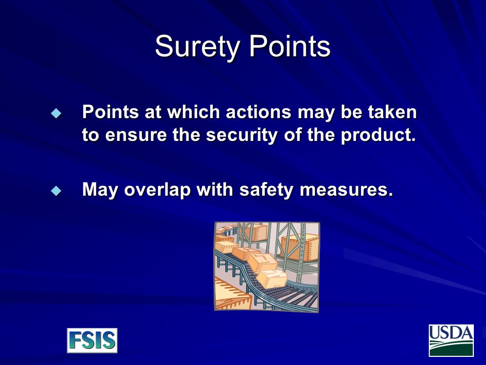 Surety Points  Points at which actions may be taken to ensure the security of the product.