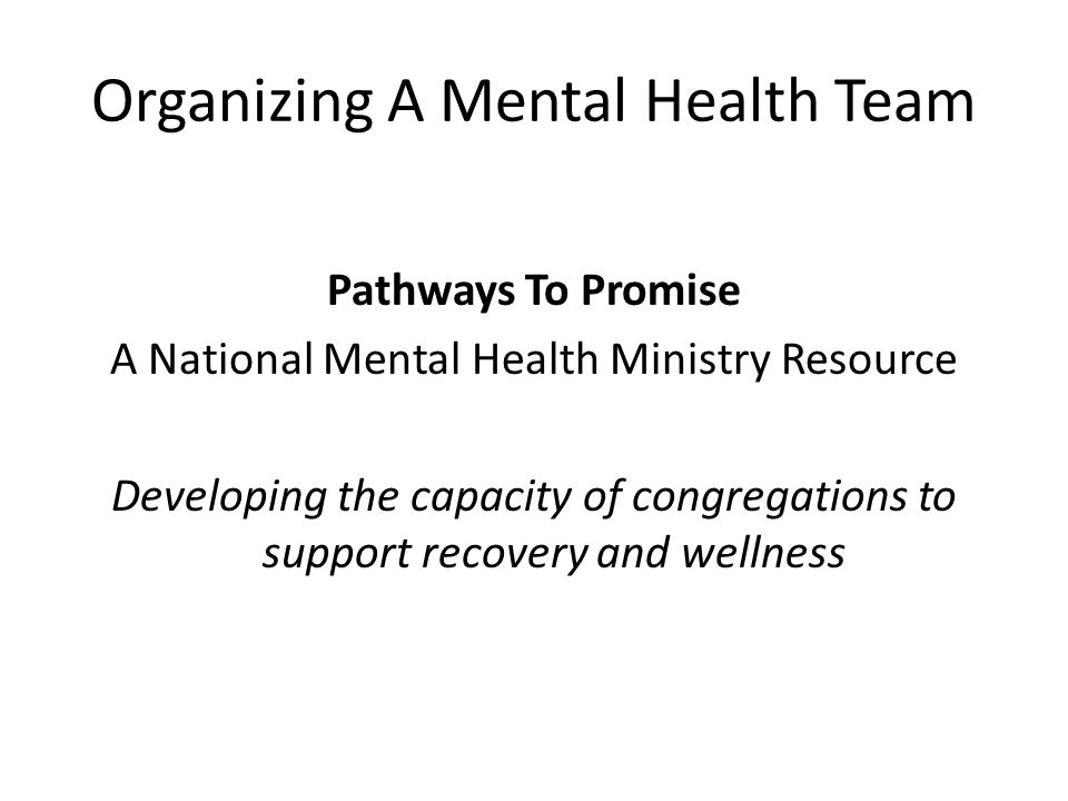 Organizing A Mental Health Team Pathways To Promise A National Mental Health Ministry Resource Developing the capacity of congregations to support recovery and wellness