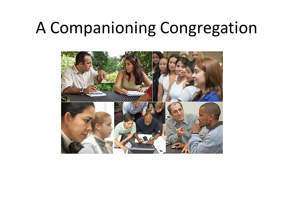 A Companioning Congregation