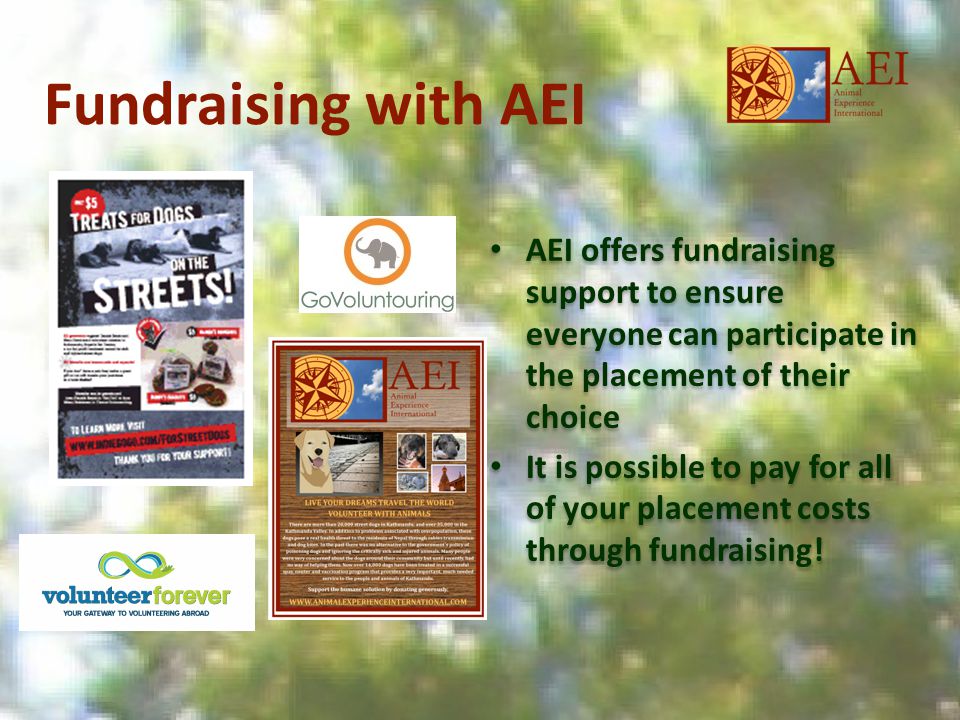 Fundraising with AEI AEI offers fundraising support to ensure everyone can participate in the placement of their choice It is possible to pay for all of your placement costs through fundraising.