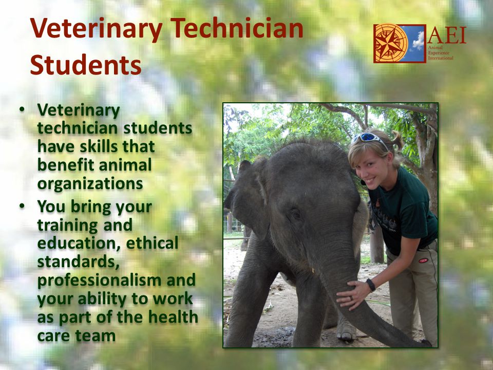 Veterinary Technician Students Veterinary technician students have skills that benefit animal organizations You bring your training and education, ethical standards, professionalism and your ability to work as part of the health care team Veterinary technician students have skills that benefit animal organizations You bring your training and education, ethical standards, professionalism and your ability to work as part of the health care team