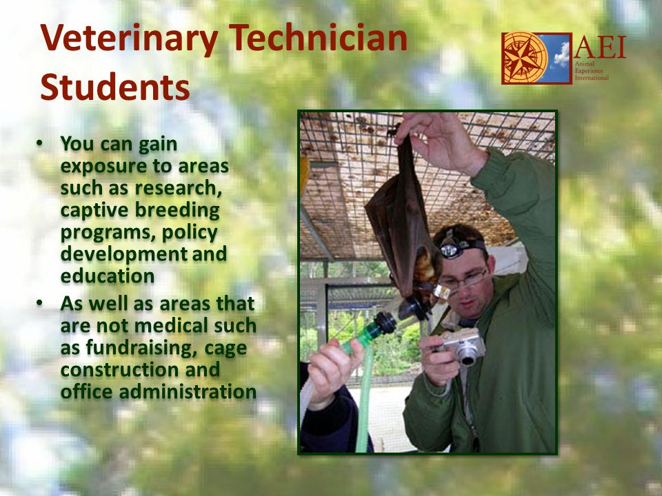 Veterinary Technician Students You can gain exposure to areas such as research, captive breeding programs, policy development and education As well as areas that are not medical such as fundraising, cage construction and office administration You can gain exposure to areas such as research, captive breeding programs, policy development and education As well as areas that are not medical such as fundraising, cage construction and office administration