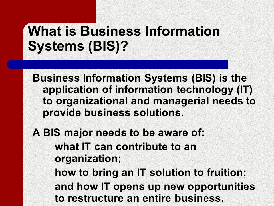 BUSINESS INFORMATION SYSTEMS (BIS) WHAT IS BIS AND SKILLS FOR A BIS CAREER COURSES EMPLOYMENT